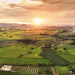İcralık Arsalarla İlgili Bilmeniz Gereken Her Şey