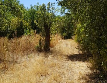 Kütahya Merkez Sofu’da 899m2 Hobi Bahçesi Tek Tapu