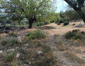 Denizli Pamukkale Uzunpınar’da 2953m2 Tarla Sulak Arazi