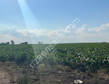 KIRKLARELİ LÜLEBURGAZDA HARİKA 26.575M2 ARAZİ