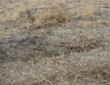 “İpotekli” Tokat Turhal Hamidiye’de Harika Yola Parsel