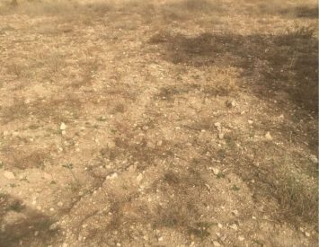 Kütahya Hisarcık Sehcakır Köyünde 3084m2 Tarla