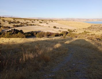 “Hacizli” Ankara Çubuk Tahtayazı’da Hisseli Tarla