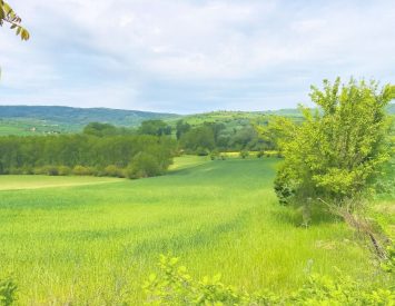Ankara Akyurt Kozayağı Köy Merkezi İçinde 1698 m2 Hisseli Tarla
