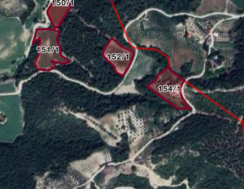 “Hacizli” Osmaniye Kadirli’de Toplu Satılık Tarla