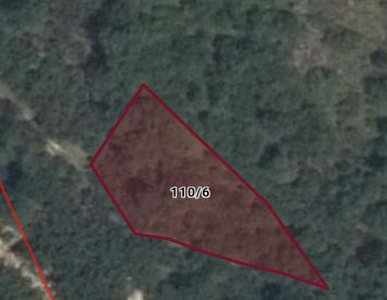 Ordu Fatsada 946 m2 Tek Tapu Fındık Bahçesi