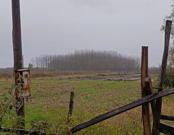 Samsun Çarşamba’da Satılık Hisseli Tarla