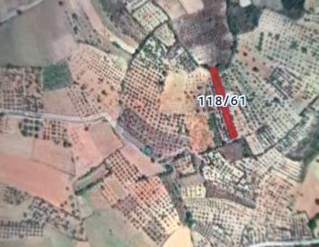 Bursa Yenişehir’de Satılık Bağ