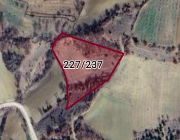 Acil satılık ceviz bahçesi