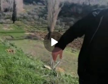 Fırsat arsa