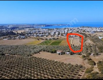 Denize 800 metre satılık arsal